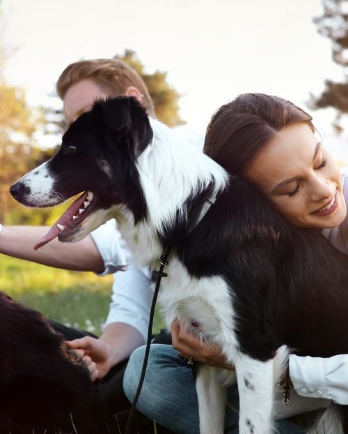 beautiful-brunette-playing-with-dog-in-nature-during-sunset.jpg