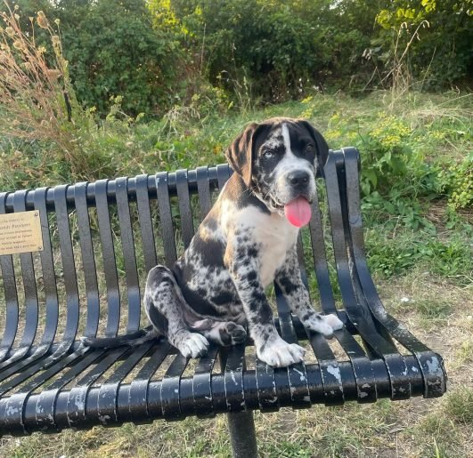 bruno_mode_1725263184_3448079965641357510_68711711250