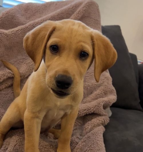 normjohnthelab_1718287171_3389560924933703601_66372982134