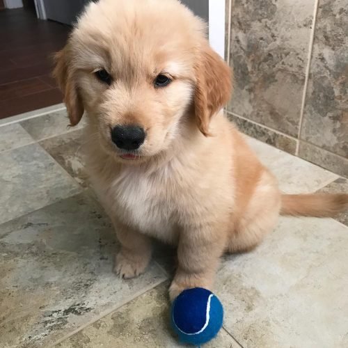 tuckerbudzyn_1530402835_1813472881449155230_7783671227